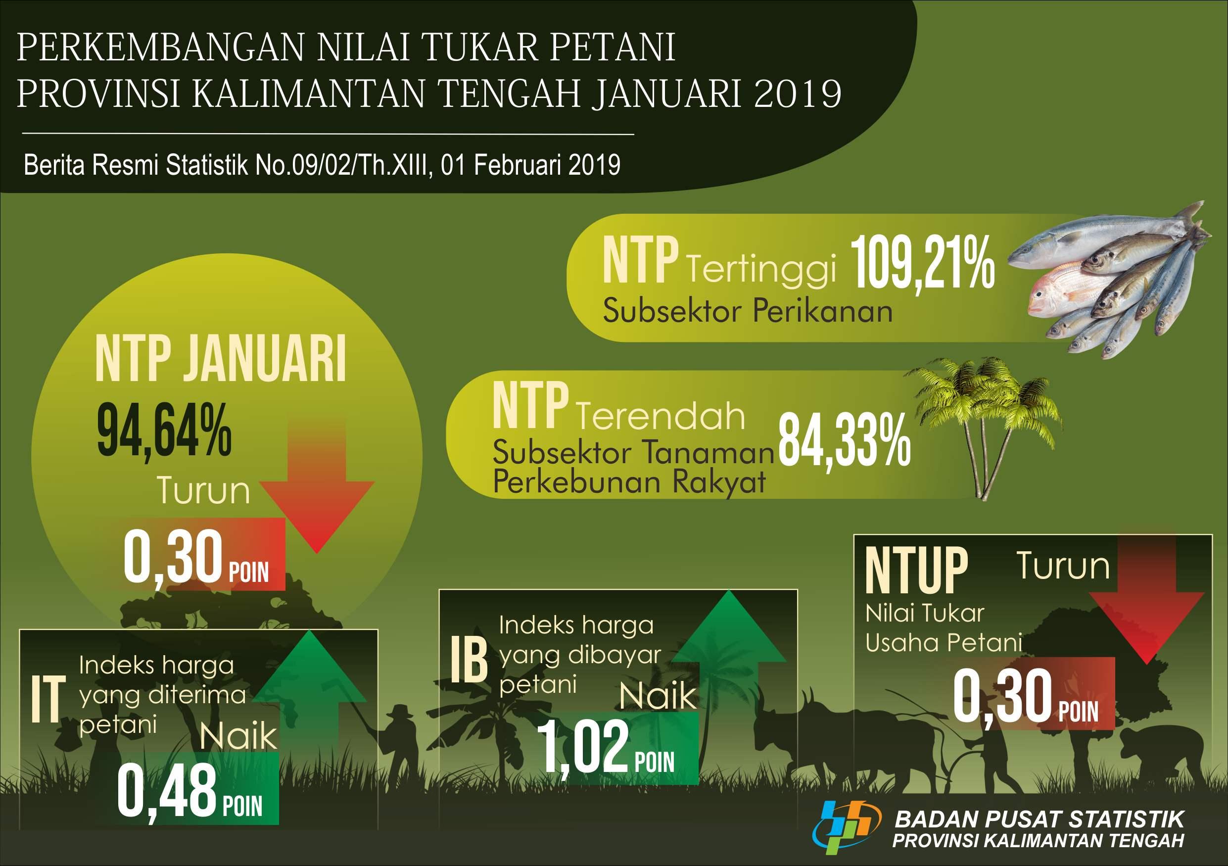 January 2019, Kalimantan Tengah Farmer Exchange Rate (NTP) 94.64 percent.