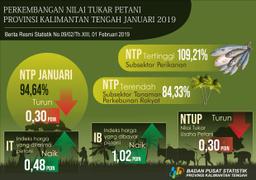 January 2019, Kalimantan Tengah Farmer Exchange Rate (NTP) 94.64 Percent.